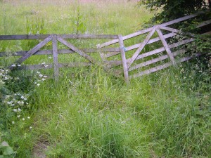 Absperrgitter Blog-Blockade