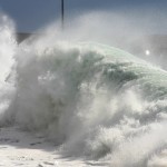 Shitstorm: Anglizismus des Jahres 2012