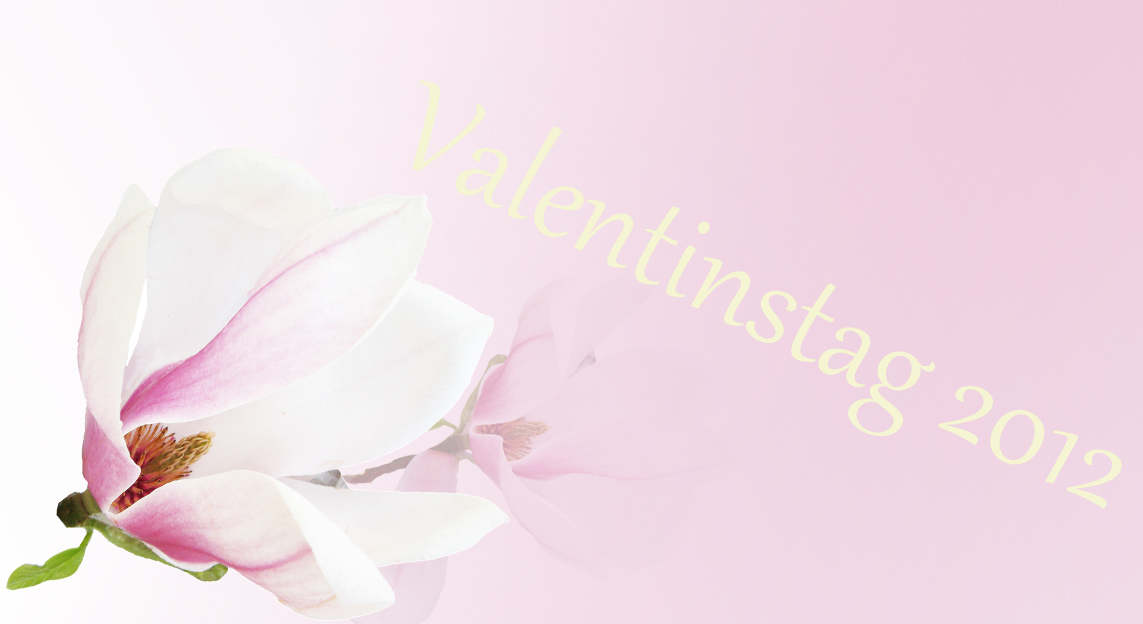 Valentinstag: Originelle Liebesbeweise statt teurer Geschenke