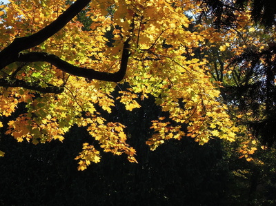 Gewinnspiel-Herbst auf tagestexte.de