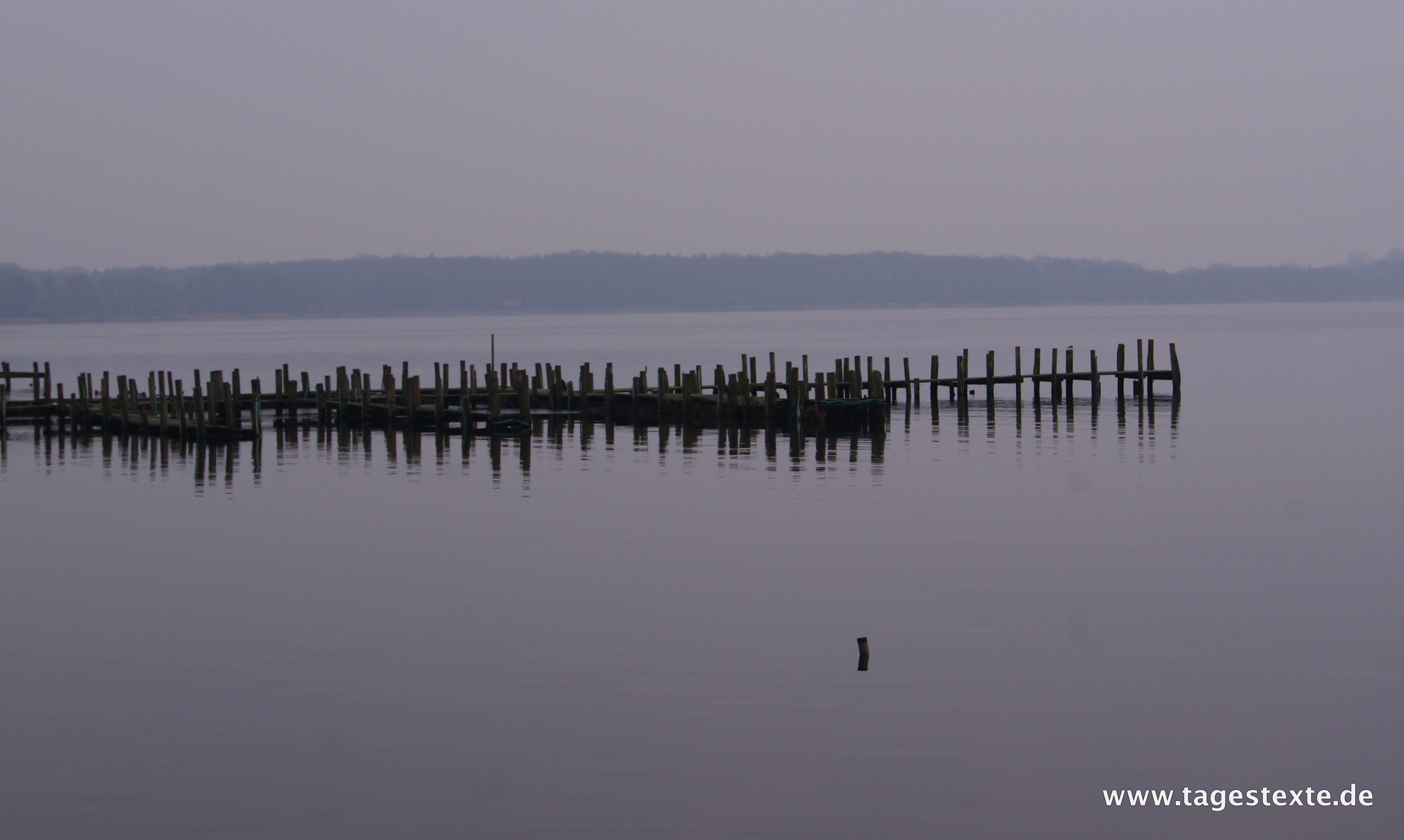 Fotos: Das Zwischenahner Meer im Winter