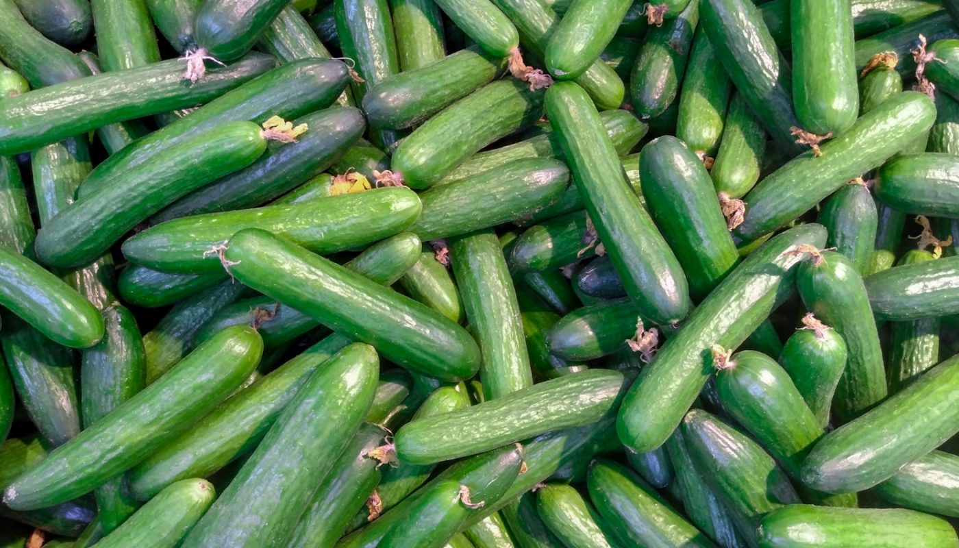 green and white vegetable lot