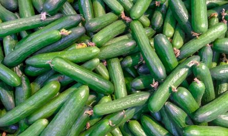 green and white vegetable lot