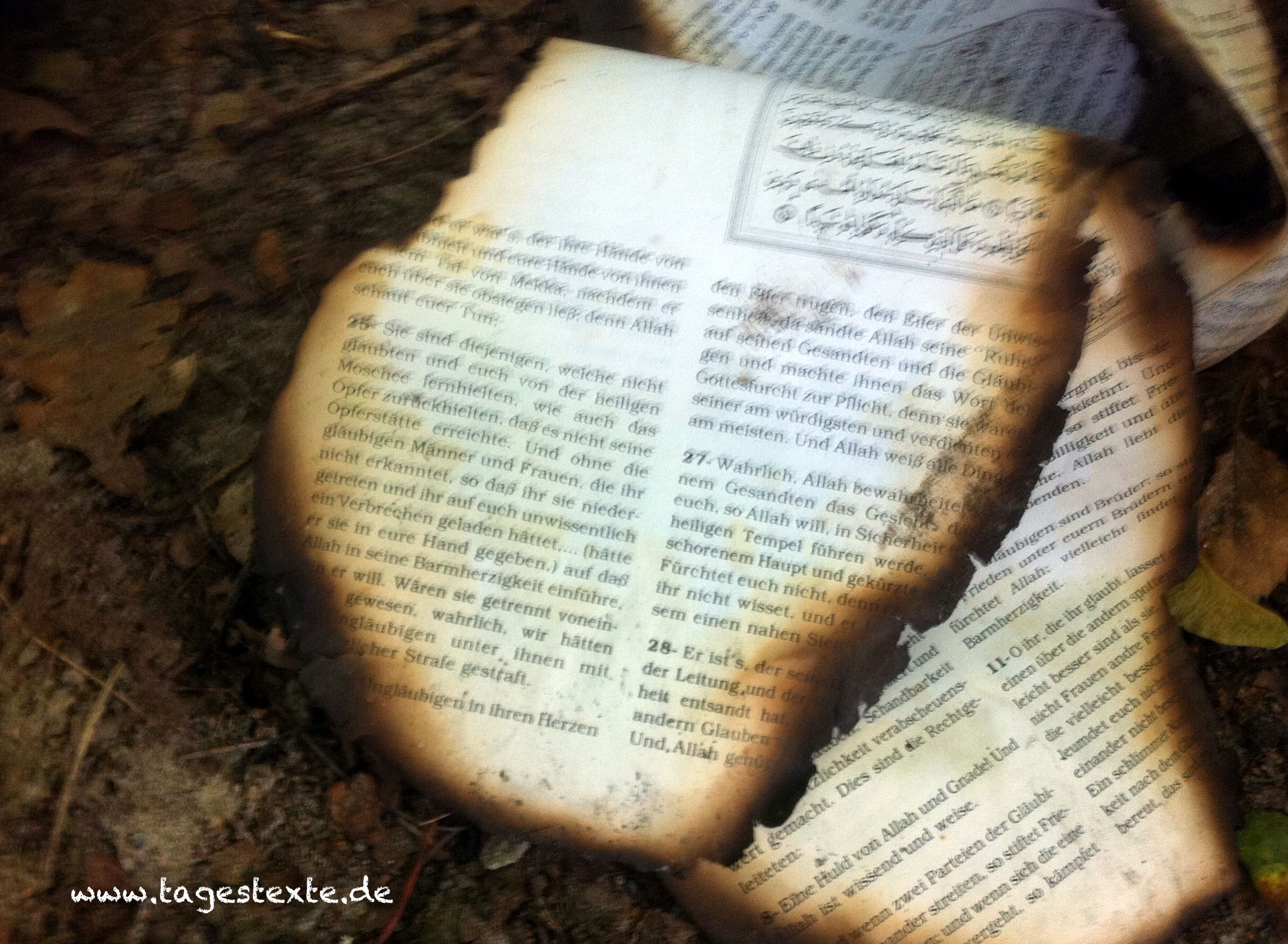 Oldenburg: Verbrannter Koran im Waldstück entdeckt