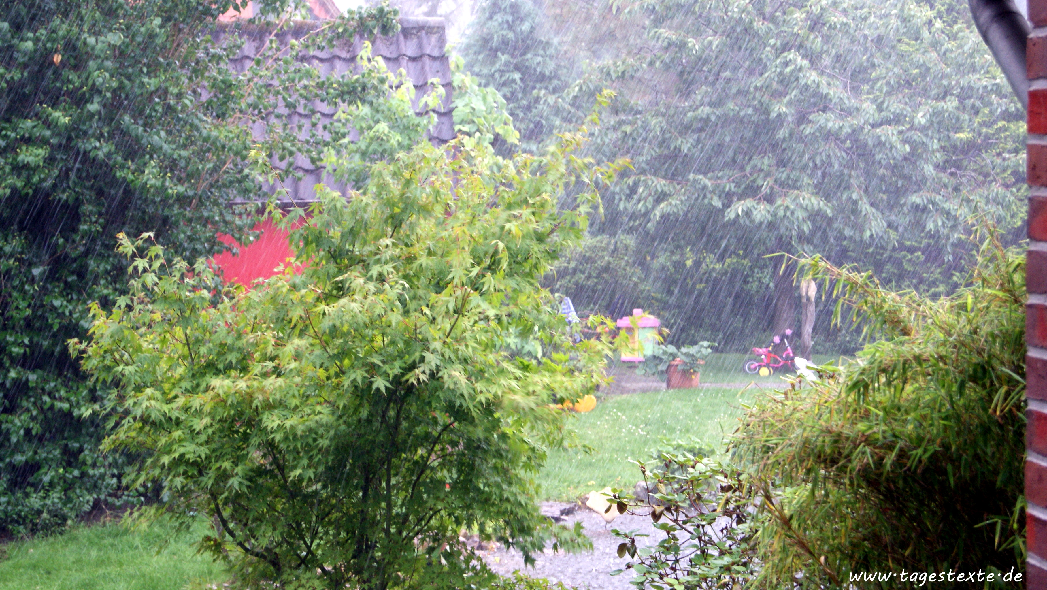[Foto] Starkregen im Garten